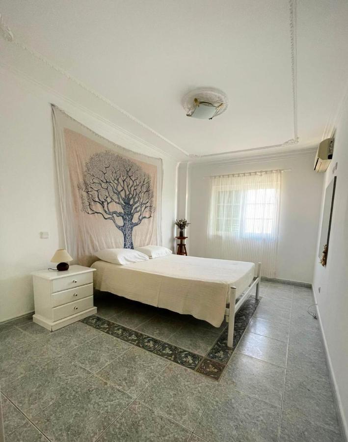 Villa Alma Rustica à Albufeira Extérieur photo